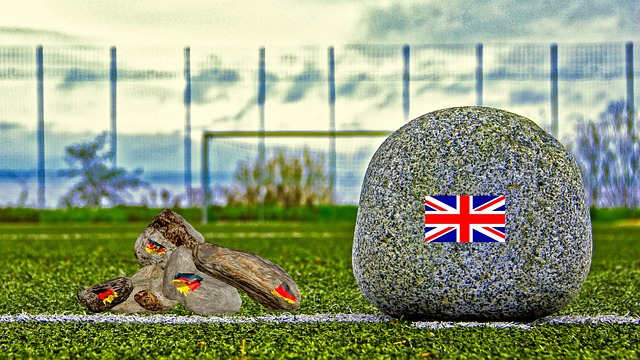 导演的培训 导演的培训