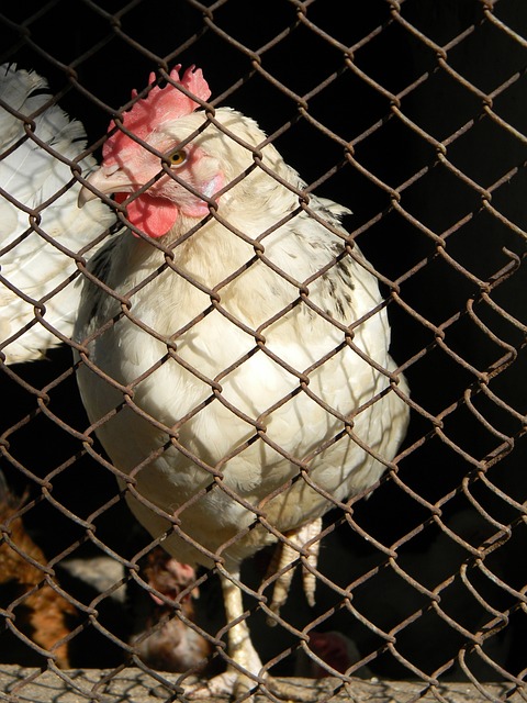 再到如今的 再到如今的