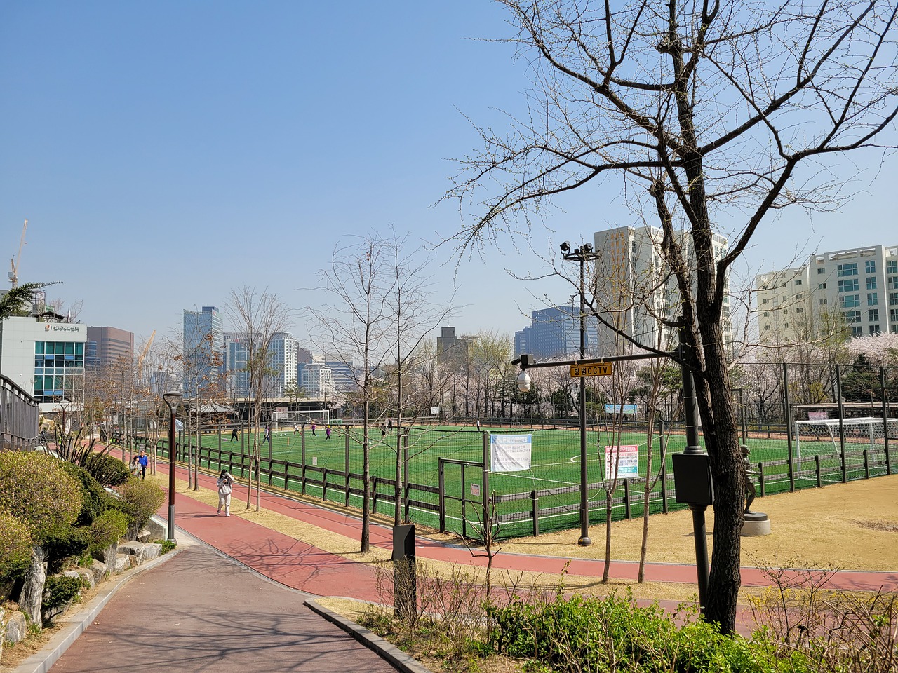 这一举动无 这一举动无