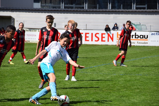 作為每年羽 作為每年羽