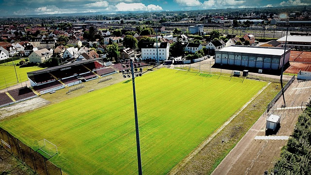 今年再度匯 今年再度匯