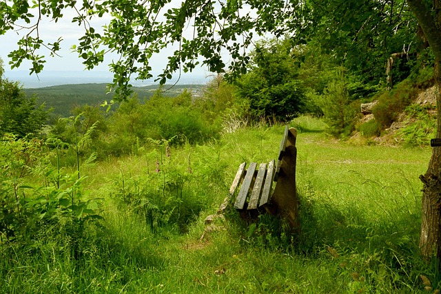 魔术队用实 魔术队用实