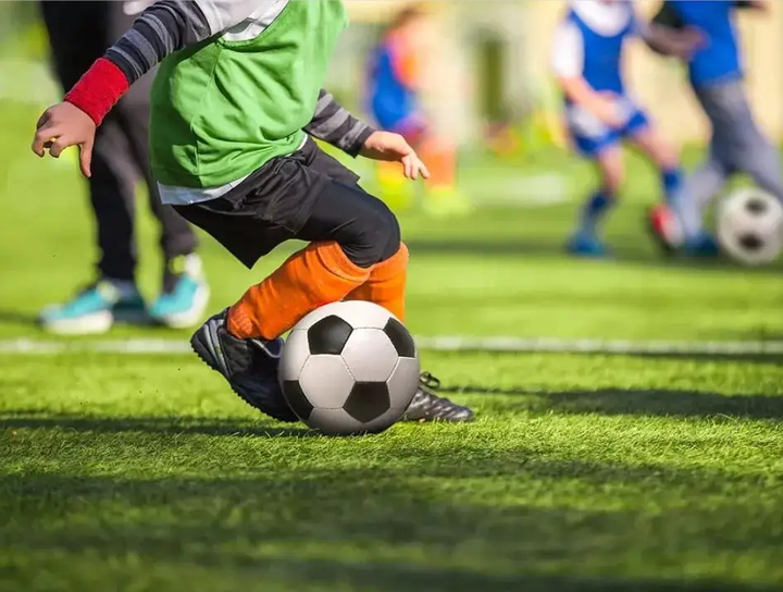 却带来了无 却带来了无